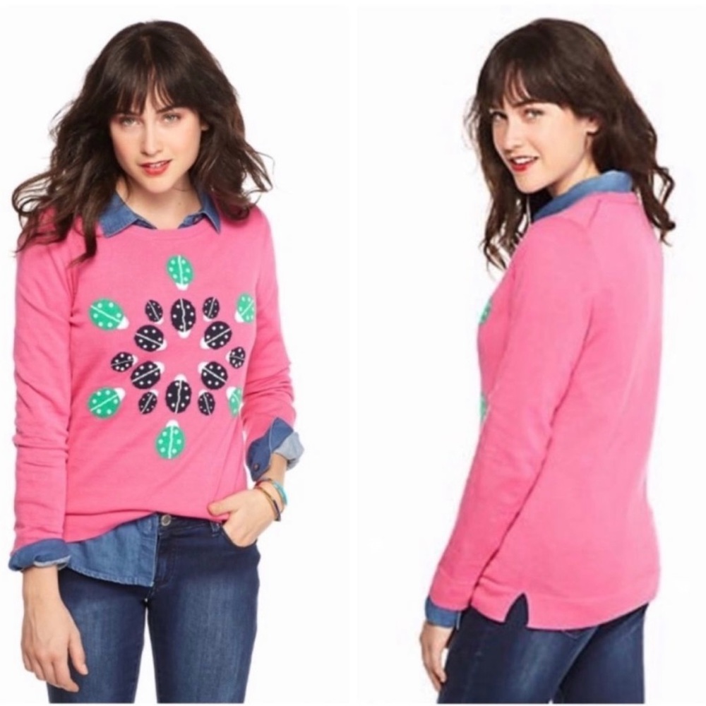 💯 Cotton Crew Neck Sweater with Ladybug Design, Women’s Size L by Crown & Ivy